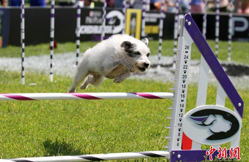 ???? ??? ?? ???… '??? ???!'