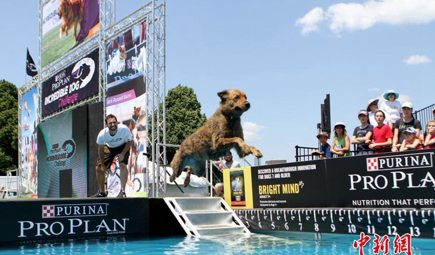 ???? ??? ?? ???… '??? ???!'