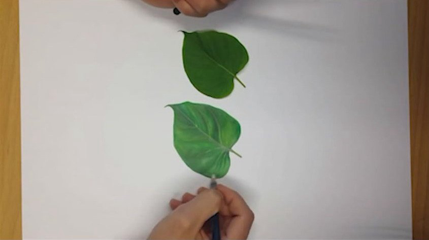 ???? ???? 3D ???? ???… ??? ???