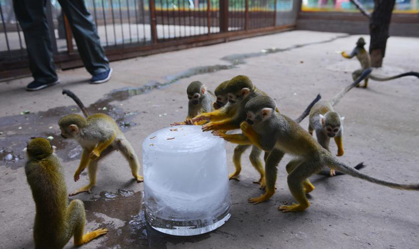 ???? '??? ?? ?? ??’, ?? ????