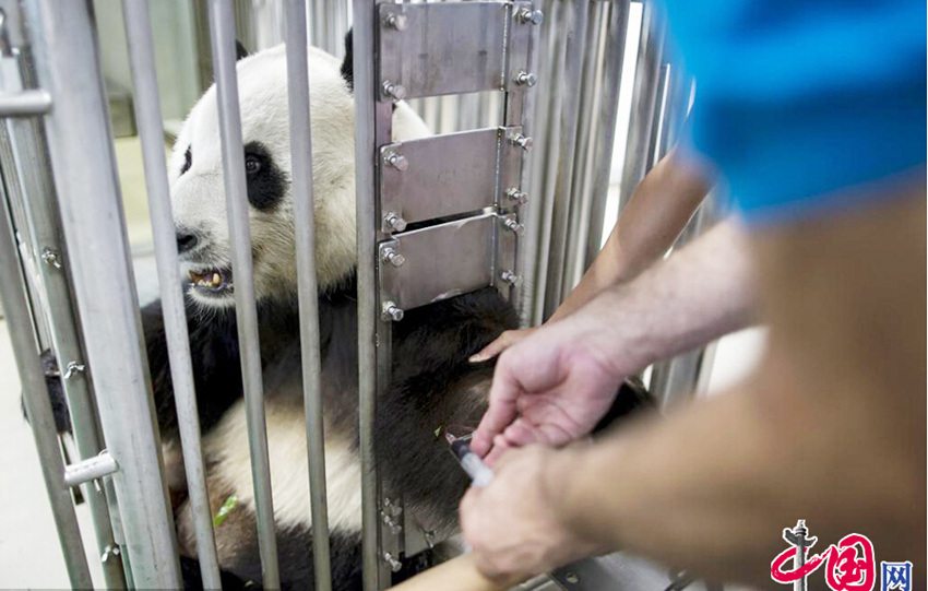 ?? 36? ?? ??, ? ?? ??? ??? ??! 