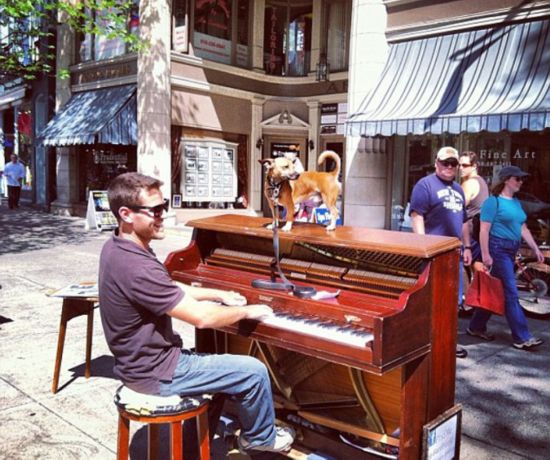 ?? ??, ??? ?? NO! ?? ?? GO!