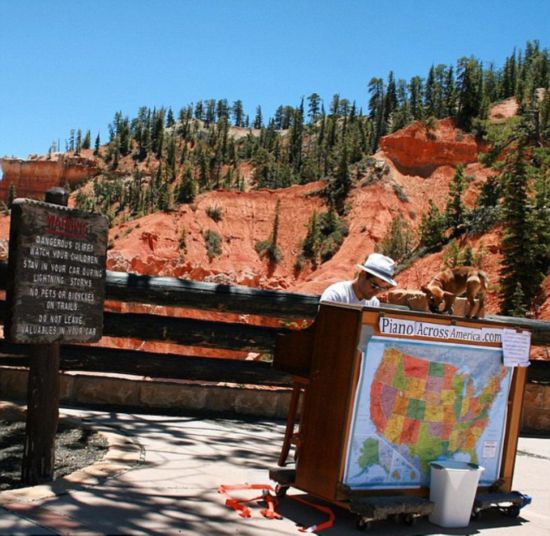 ?? ??, ??? ?? NO! ?? ?? GO!