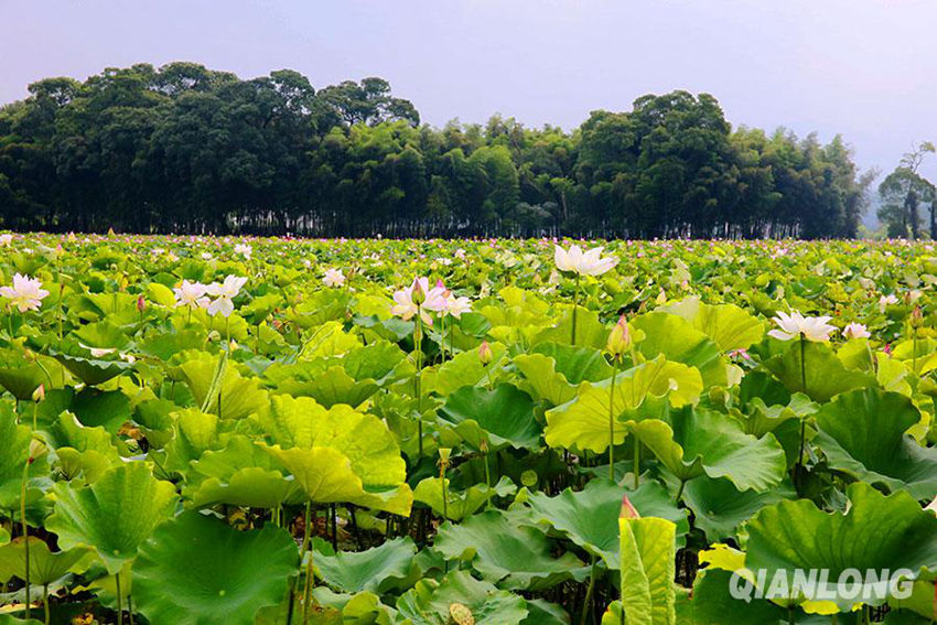 ?? 1? ?? ??, ?? ? ???? ‘????'