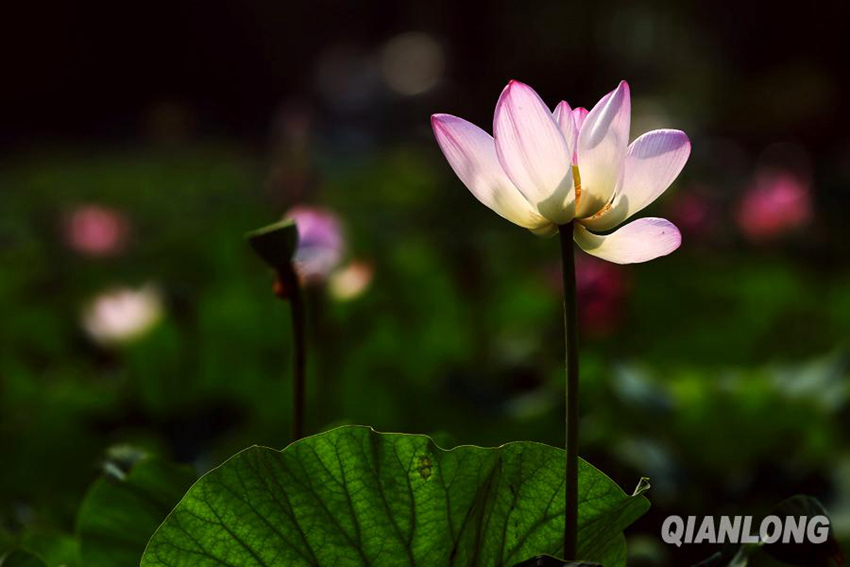 ?? 1? ?? ??, ?? ? ???? ‘????'