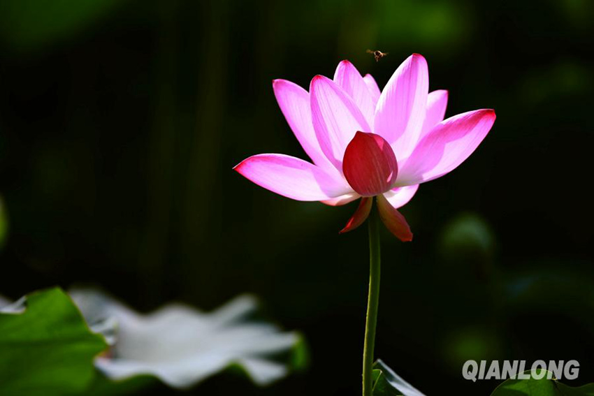 ?? 1? ?? ??, ?? ? ???? ‘????'