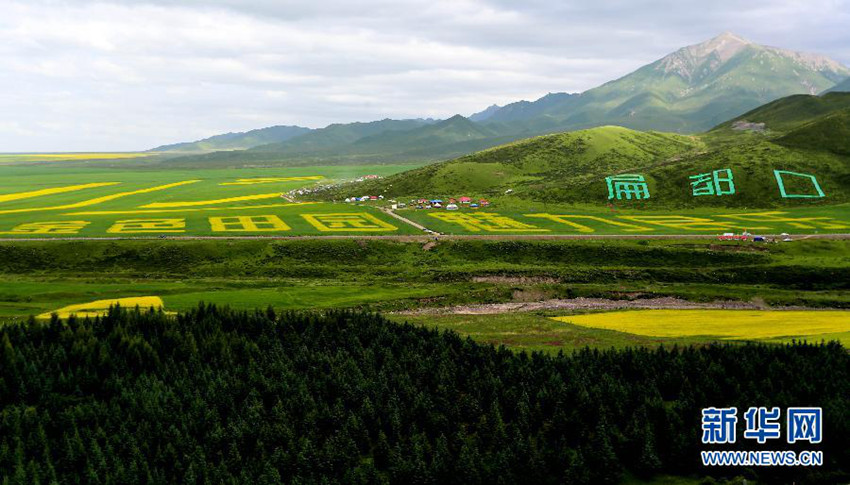 ?? ??(民樂)?, ??? ??... ?? ?? ???