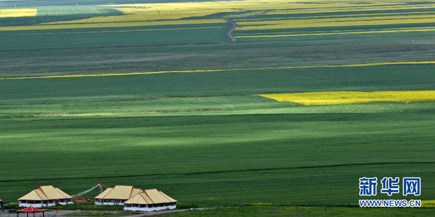 ?? ??(民樂)?, ??? ??... ?? ?? ???