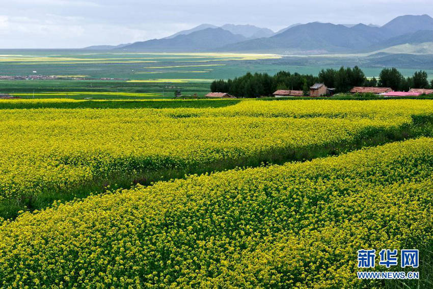 ?? ??(民樂)?, ??? ??... ?? ?? ???