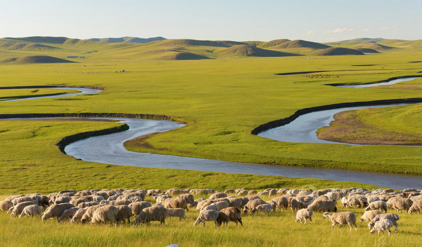 ???? ????? '?? ??', ???? ?? ??