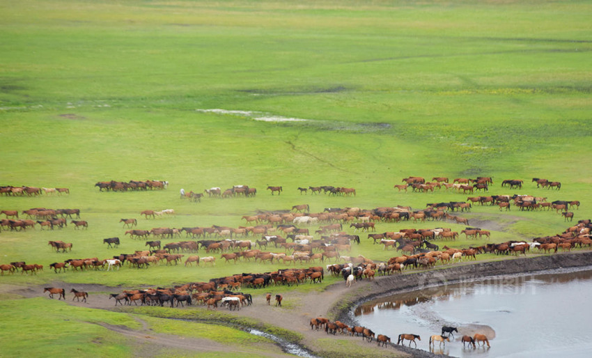 ???? ????? '?? ??', ???? ?? ??