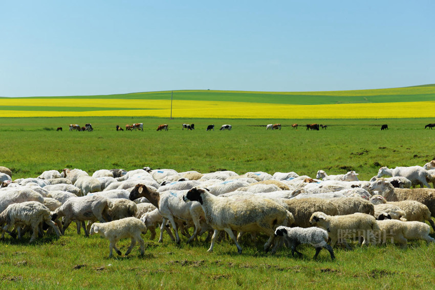 ???? ????? '?? ??', ???? ?? ??