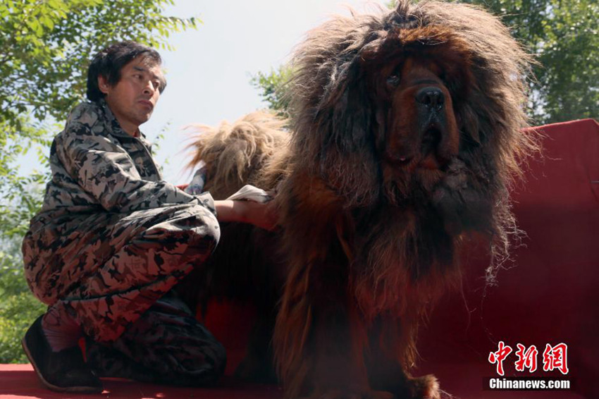 ?? ???元 ??? ????, ?? ?? ???? ??  