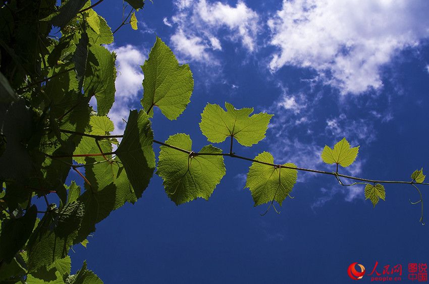 ???? ??? ‘?? ??’ ???? ?? 