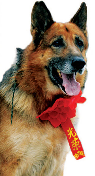 ?? ?? ????, ??? ???? ????? ??