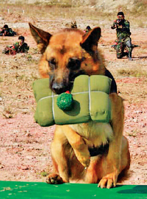 ?? ?? ????, ??? ???? ????? ??