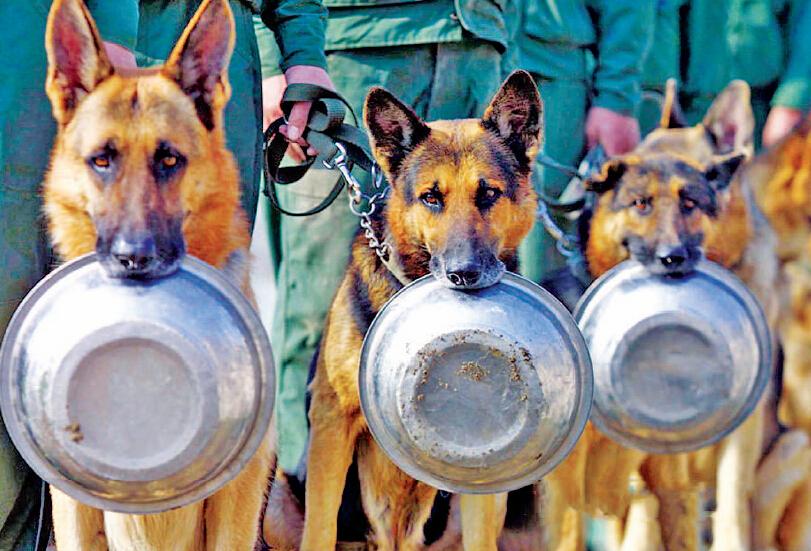 ?? ?? ????, ??? ???? ????? ??