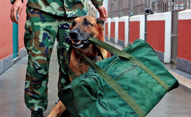 ?? ?? ????, ??? ???? ????? ??