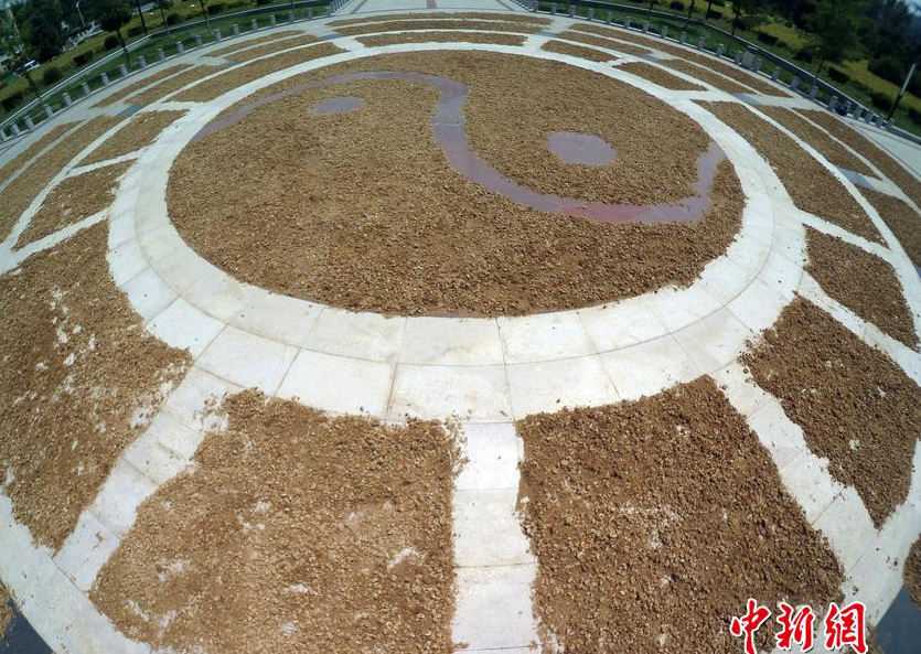 ??? ? ???? ???? ???, ?? ?? ??