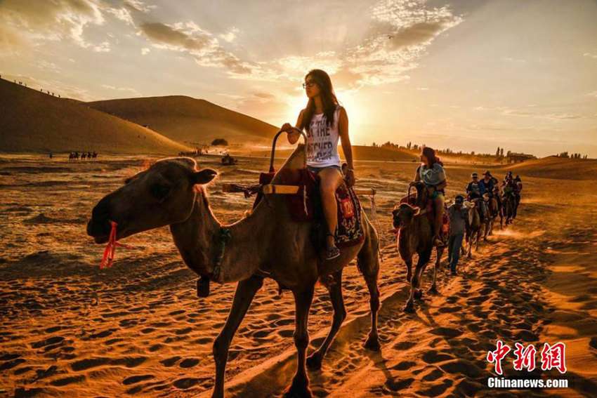 ?? ?? ?? ???, ??? ?? ??? 1km? ??