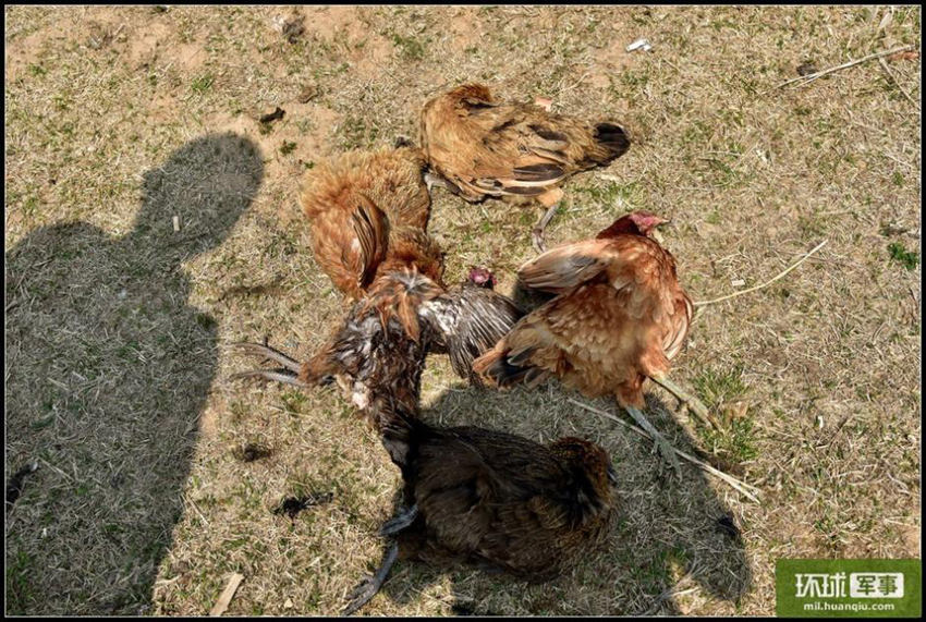 ?? ?? ??? ??, ?? ??? ??? ????!