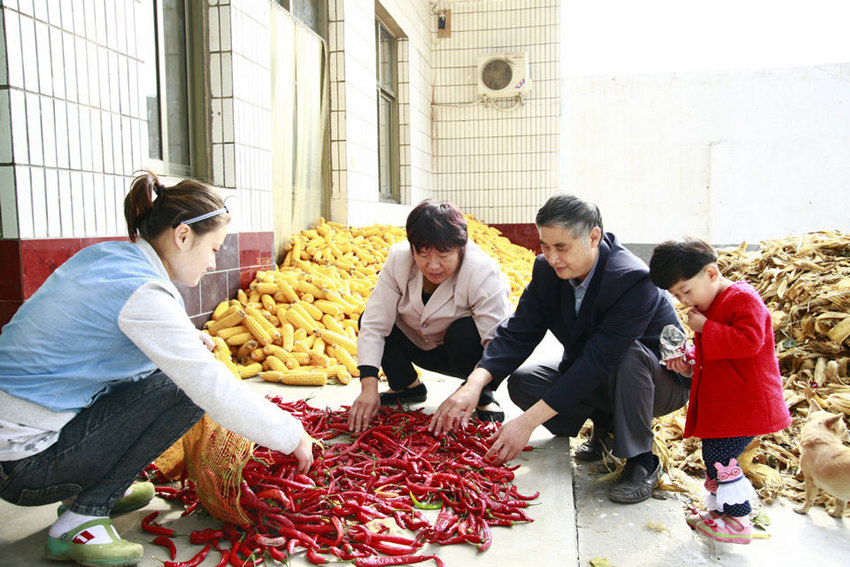 ??? ? ? ?? ?????? ???