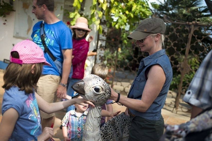 ?? ?? ?? ???, ?? ?? ???? 100%