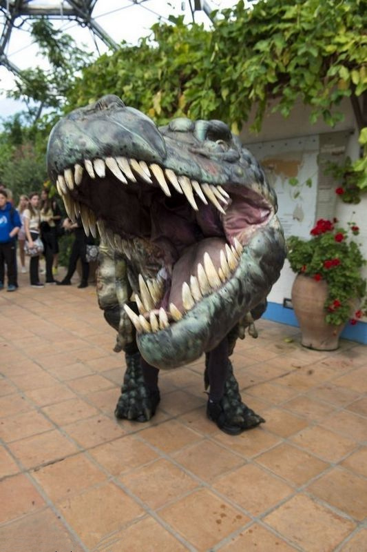 ?? ?? ?? ???, ?? ?? ???? 100%