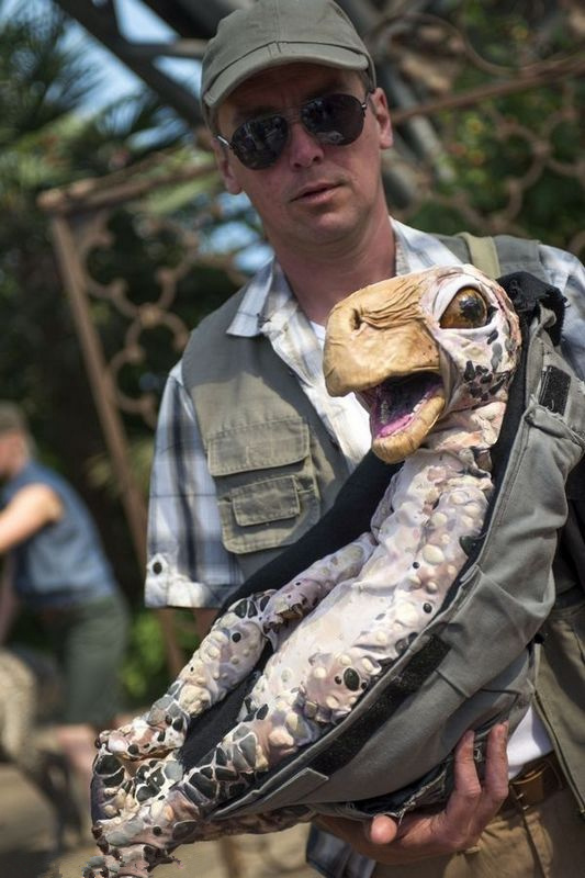 ?? ?? ?? ???, ?? ?? ???? 100%