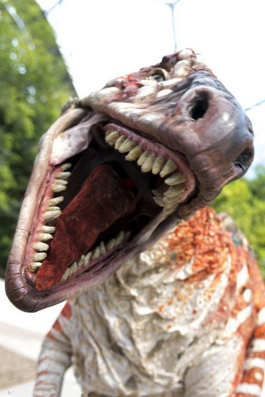 ?? ?? ?? ???, ?? ?? ???? 100%