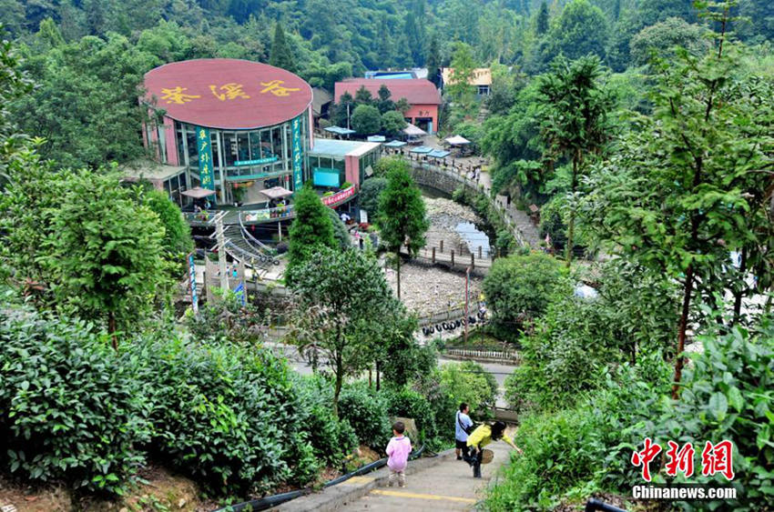 ?? 2015 ?? ???? ‘?? 10? ???’ ??