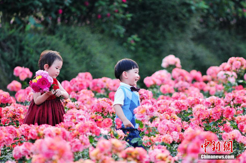 ?? 2015 ?? ???? ‘?? 10? ???’ ??