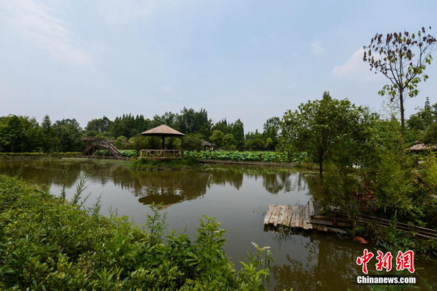 ?? 2015 ?? ???? ‘?? 10? ???’ ??