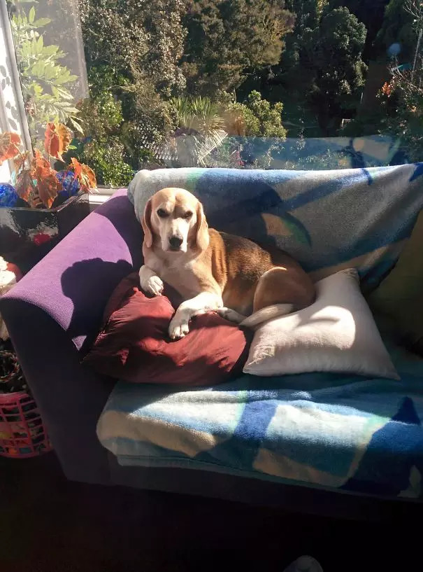 ?? ???? ?? ??, '??? ??'