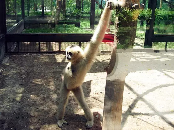 ?? ???? ?? ??, '??? ??'