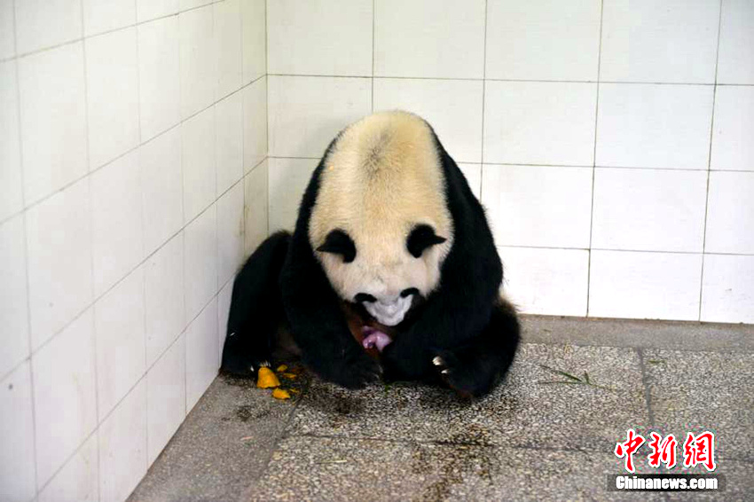 '???' ?? ?? ? ?? '??', ??? ??!