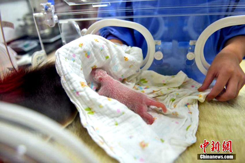 '???' ?? ?? ? ?? '??', ??? ??!