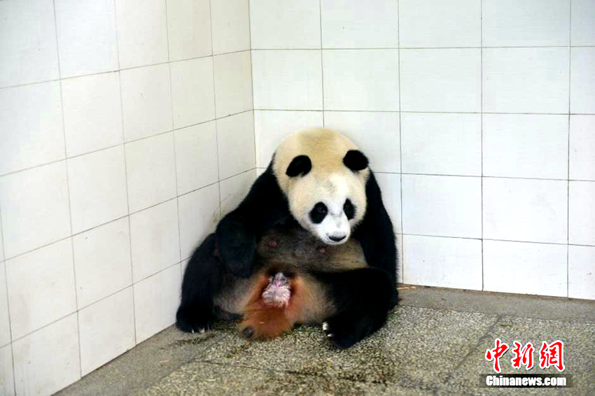 '???' ?? ?? ? ?? '??', ??? ??!