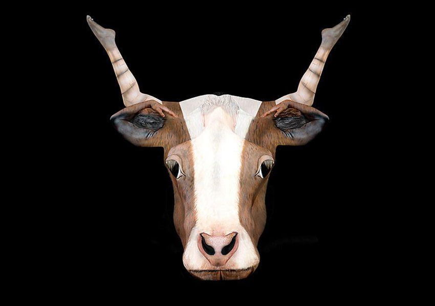 ?? ????? ????, ???? ??? ?? ??