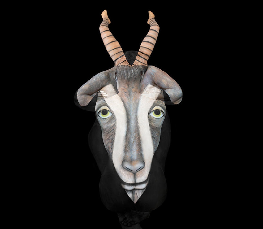 ?? ????? ????, ???? ??? ?? ??