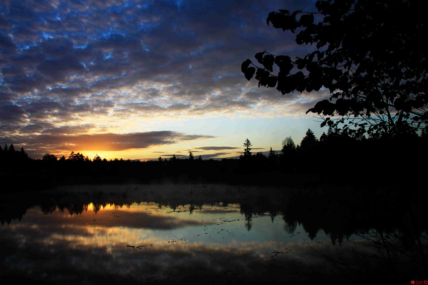 ????? ?? ??? ???? ??? ??