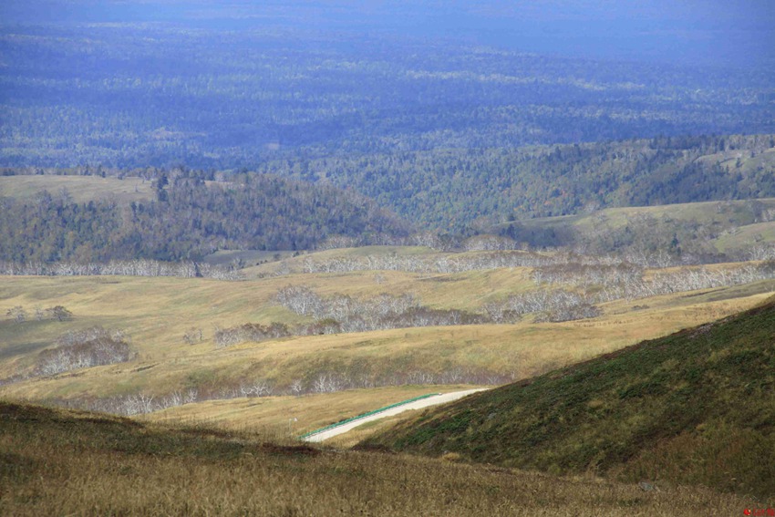 ????? ?? ??? ???? ??? ??