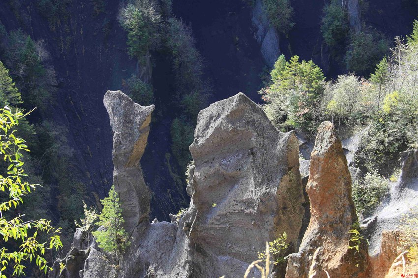 ????? ?? ??? ???? ??? ??