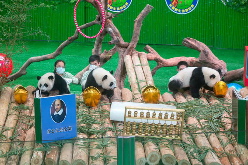 ???? ???? ?? ‘???’, ??????? ??