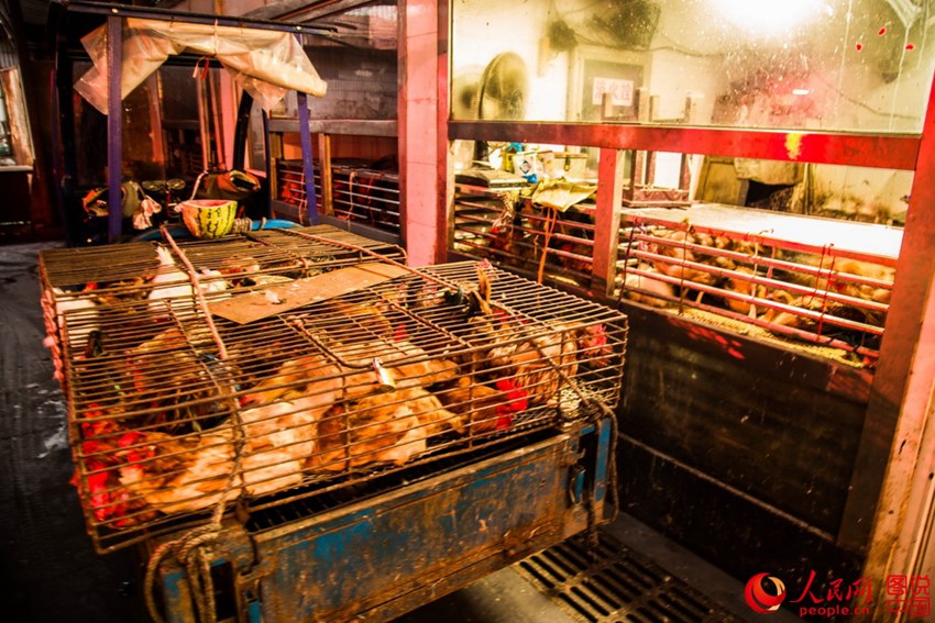 ?? ???? ???? ????? ?? ??