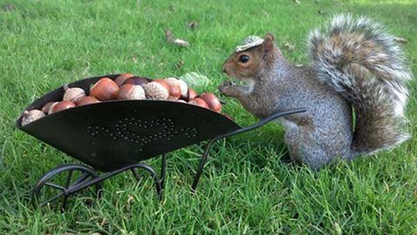 ??? ??? ?? ????? ??...‘?? ??’