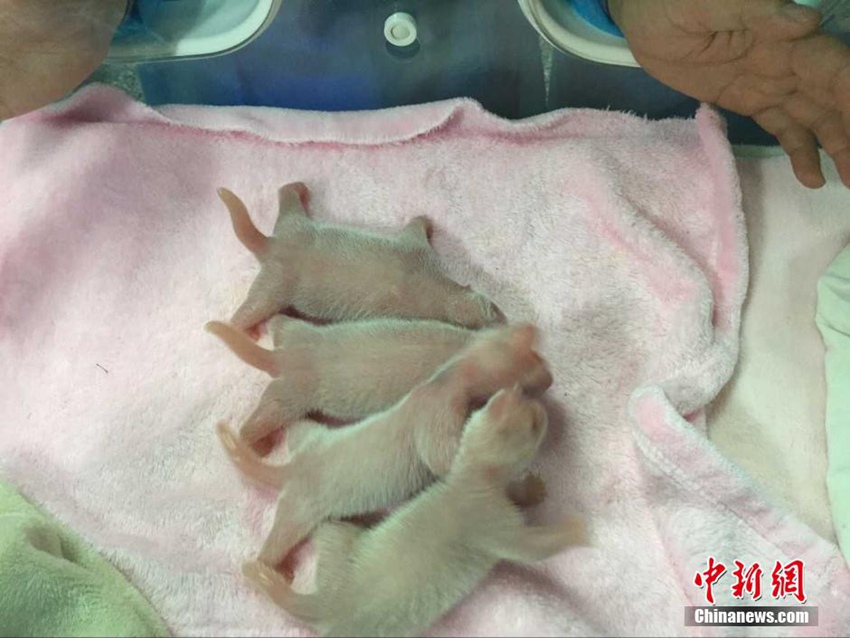 ?? ???? ?? ??? ???, ?? ??? ??