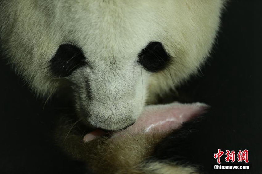 ?? ???? ?? ??? ???, ?? ??? ??