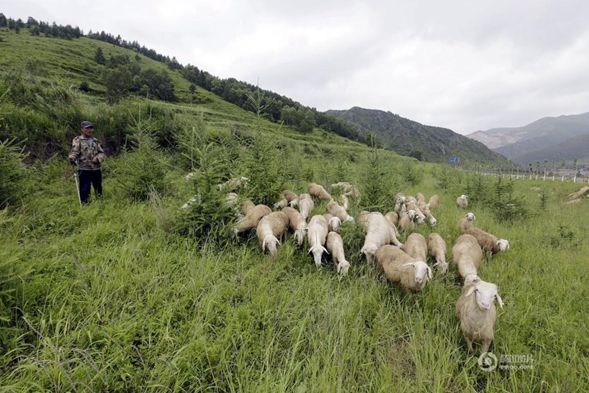 2022 ????? ???-???? ??? ??