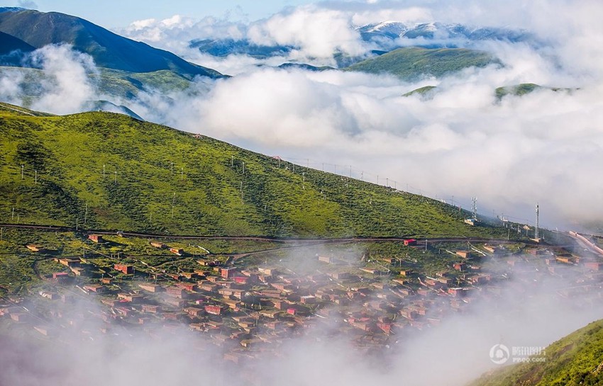 ??? ?? ?? ??? ??? ??? ?? ???